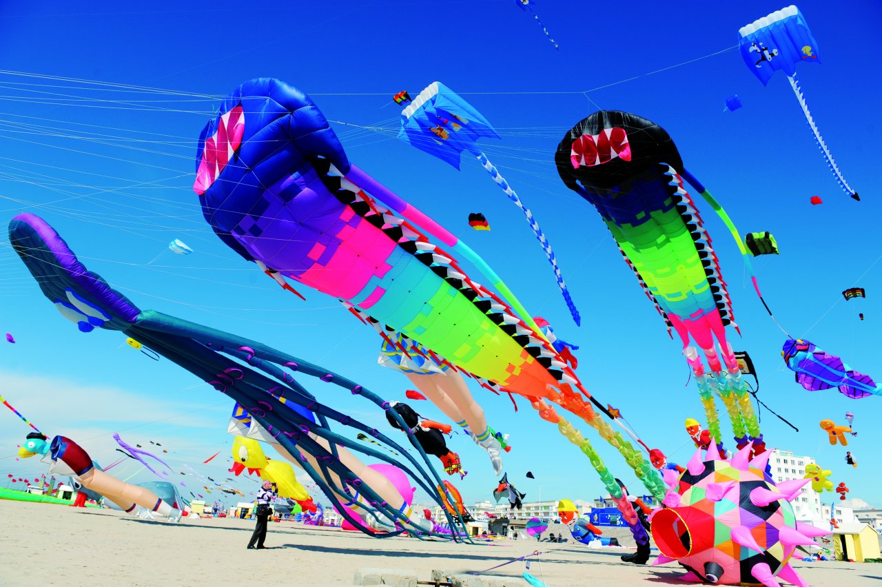 Cerfs Volant à Berck